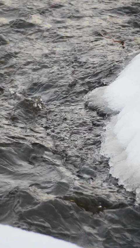 Dark River Water Rushing Past Frozen Ice Crust on Snowy Bank - Icy Shoreline wit Stock Footage 326216293