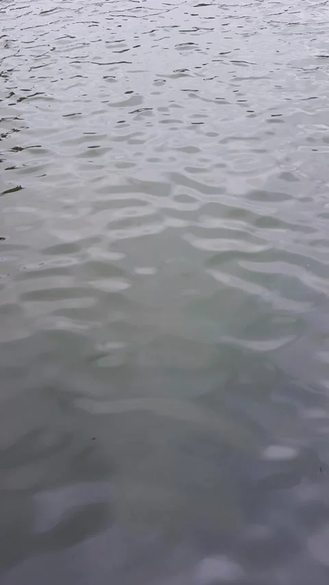 Dark river water with wavy surface. Stock Footage 268623410