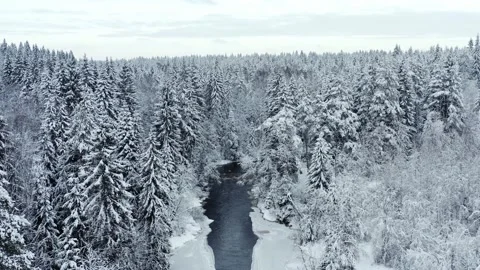 Dark river in the white winter landscape Stock Footage 146541942