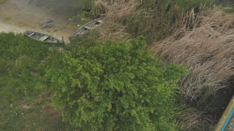 Dark River on a Windy Day with Water Lily Leaves Stock Footage 130891845