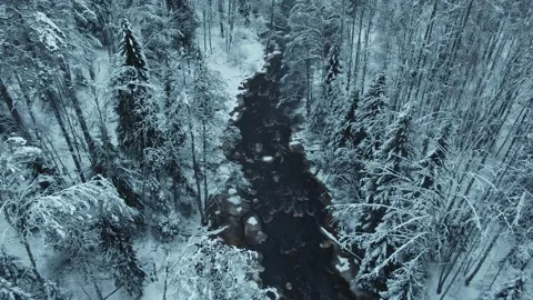 Dark river in the winter dark forest Video stock 146541885