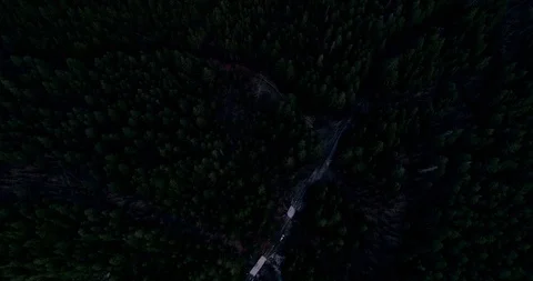 Dark Road Forest Stock Footage 91462168