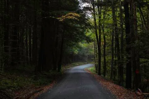 Dark Road, Light Ahead Stock Photos
