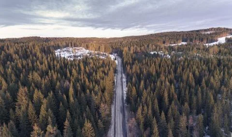 Dark Road Foto stock