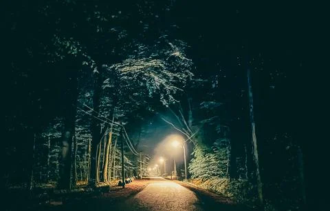 A dark road with trees on both sides at night Foto stock