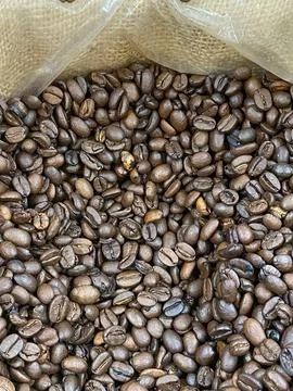 Dark roasted coffee beans with a burlap bag in background 写真素材