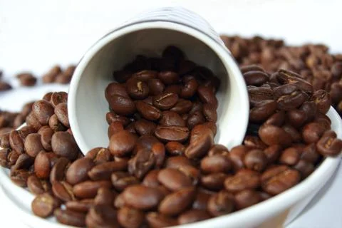 Dark roasted coffee beans Stock Photos