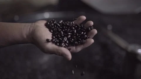Dark roasted coffee grains falling from a hand on top of a roaster machine Stock Footage 219592723