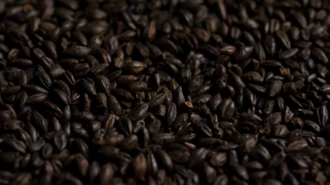 Dark roasted grains form dense textured surface filling frame Stock Footage 328346888