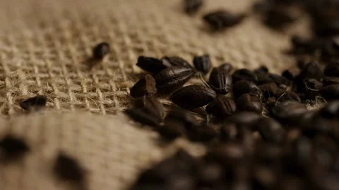 Dark roasted malt grains on rustic burlap fabric texture Stock Footage 327829448