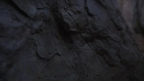 Dark Rock Surface with Natural Erosion Patterns in Low Light Stock Footage 289638634