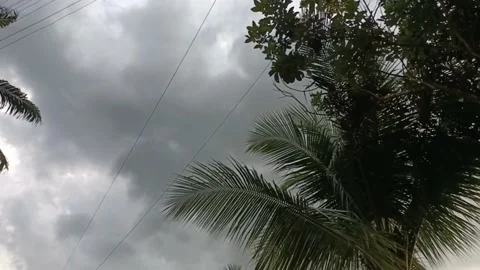 Dark Rolling Storm Clouds become Black Stock Footage 237015754