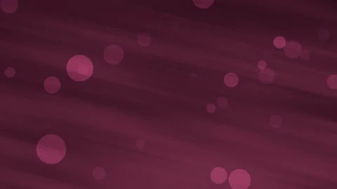 Dark Rose Seamless Loop 4K Background 库存影片 343503038