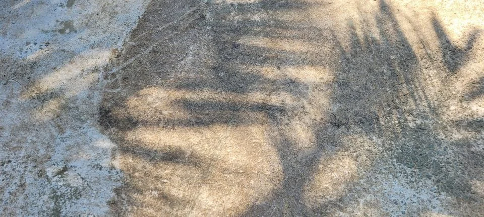 Dark rustic background with cement texture Stock Photos