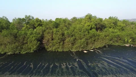 Dark sand beside tree Stock Footage 150201837