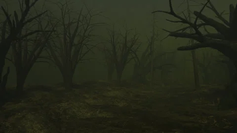 Dark Scary Forest Walk Stock Footage 247215663