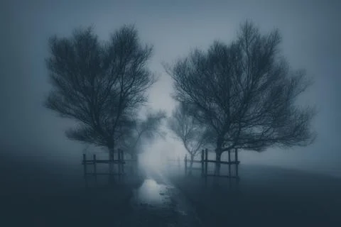 Dark scary landscape with path surrounding by trees and fog Stock Photos