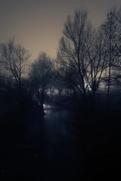 Dark scene of soft stream and silhouettes of naked trees on a winter night Foto stock