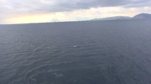Dark Sea and Cloudy Sky Stock Footage 55433137