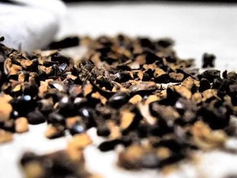 Dark Seed Tea Bag 스톡 사진