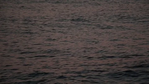 Dark Sepia Sea Waves Surface Swells Stock Footage 80952041