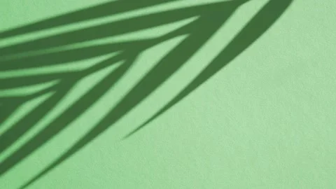 Dark shadow of palm leaf moving on green background Stock Footage 168910922