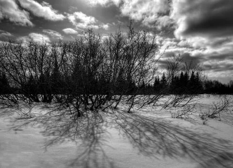 Dark shadows Stock Photos