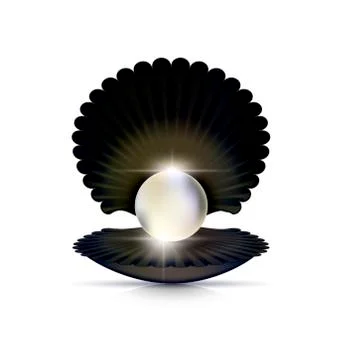 Dark shell and white pearl Stock Illustration