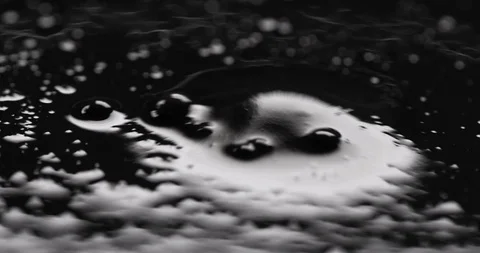 Dark shiny fluid bubbling on surface Stock Footage 104159249