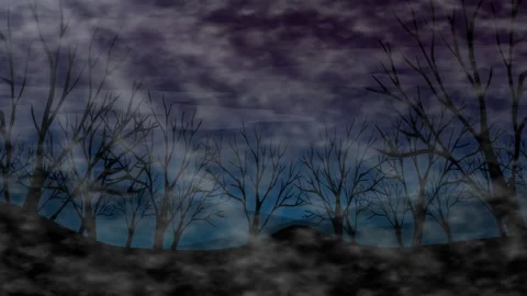 Dark Silhouette of Bare Trees Against a Cloudy Night Sky Stock Footage 341838961
