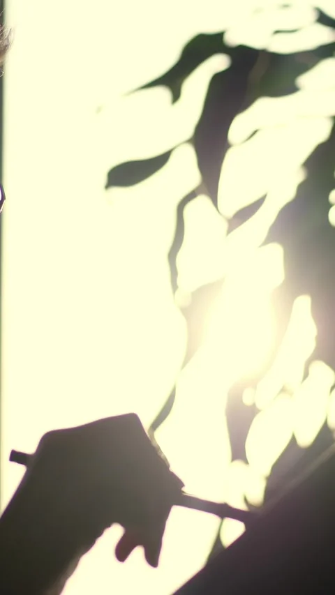 Dark silhouette of Young Focused attentive businesswoman wearing glasses, writes Stock Footage 315439357