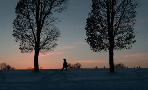Dark silhouettes of bare winter trees and a person, walking in the snow betwe Stock Photos