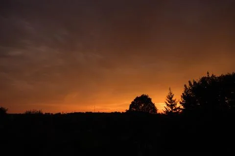 Dark silhouettes of trees against a dramatic orange sunset sky with clouds Stock-Fotos