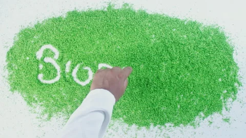 Dark skin man's hand writing in green sand words Biodiversity Stock Footage 248640938