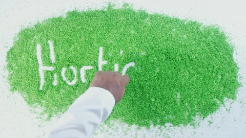 Dark skin man's hand writing in green sand words Horticulture Stock Footage 248641204