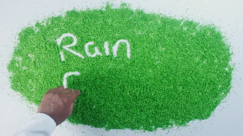 Dark skin man's hand writing in green sand words Rain forest Stock Footage 248654733