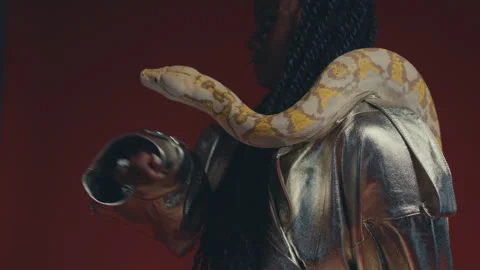 Dark skinned girl posing with snake on her shoulders in studio. Stock Footage 267004053