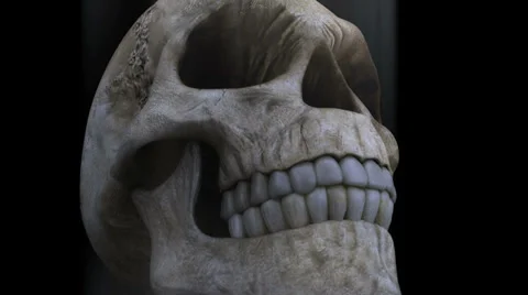 Dark Skull Stock Footage 32088803