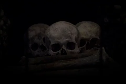 Dark Skulls Stock Photos