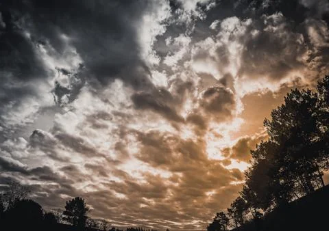 Dark sky back orange sunset background with clouds and some bare trees Stock Photos