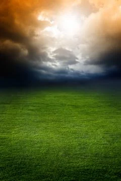 Dark sky, green field Illustrazione stock