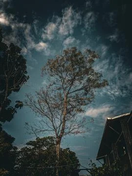 Dark sky 写真素材