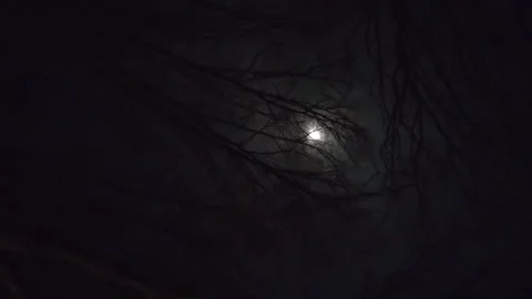 Dark sky in winter evening moonlight moving in a circle Stock-Footage 325622251