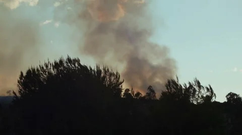 Dark smoke billowing over trees Stock-Footage 54642492