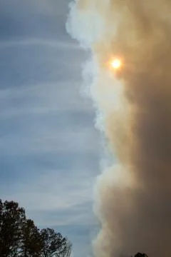 Dark Smoke Cloud from Forest Fire Stock Photos