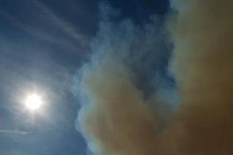 Dark Smoke Cloud from Forest Fire Stock Photos