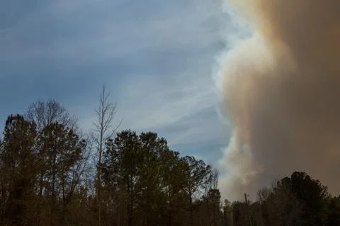 Dark Smoke Cloud from Forest Fire Stock Photos