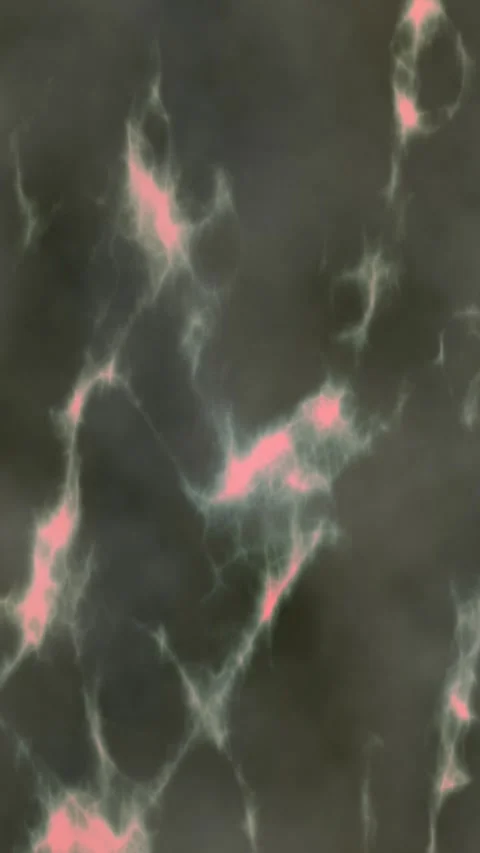 Dark smoky marble texture features delicate pink glowing veins creating an Stock Footage 342920117
