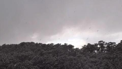 Dark Snowy Sky over Miho no Matsubara Pine Forest Aerial Drone Stock-Footage 329064081