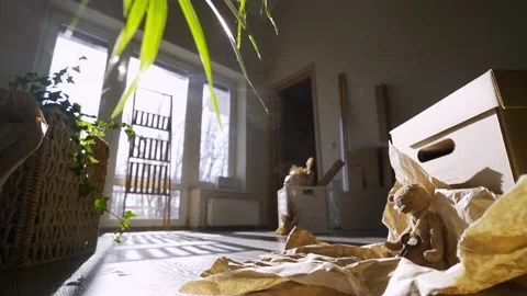Dark spacious interior with boxes for moving 스톡 동영상 145313090